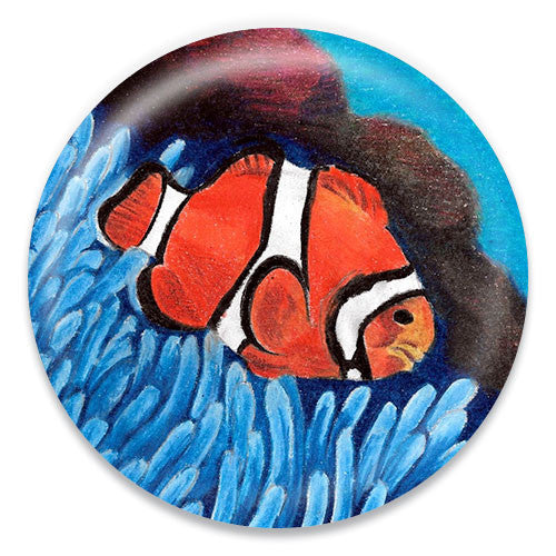 Clownfish - ChattySnaps
