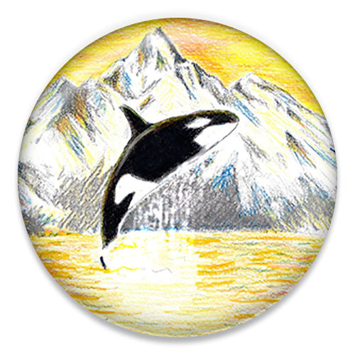 Orca - ChattySnaps