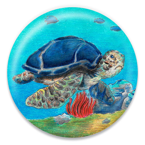 Sea Turtle - ChattySnaps
