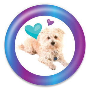 Dog With Hearts - ChattySnaps