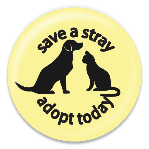 Save a Stray - ChattySnaps